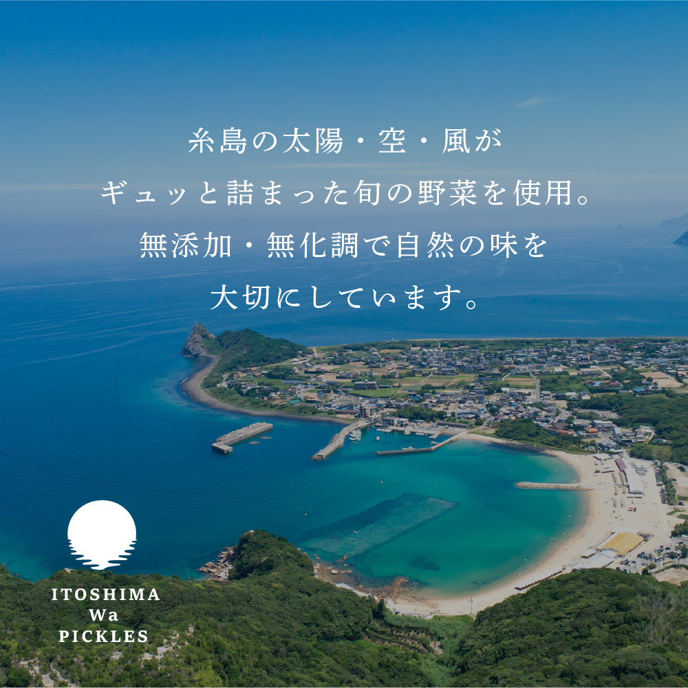糸島和ピクルス(ミックス)
