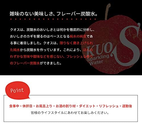 強炭酸水 KUOS クオス アップル 500ml × 24本
