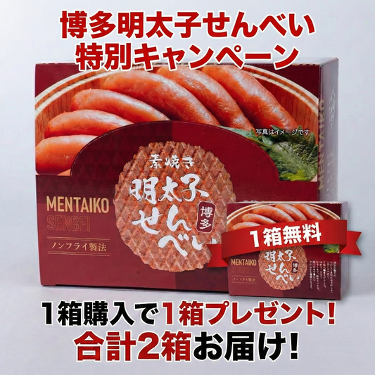 博多明太子せんべい（箱）1枚×16袋